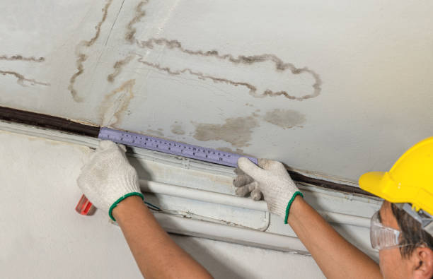 Reliable Sewage Cleanup contractor in Bridgewater, VA by Water Damage Irwin